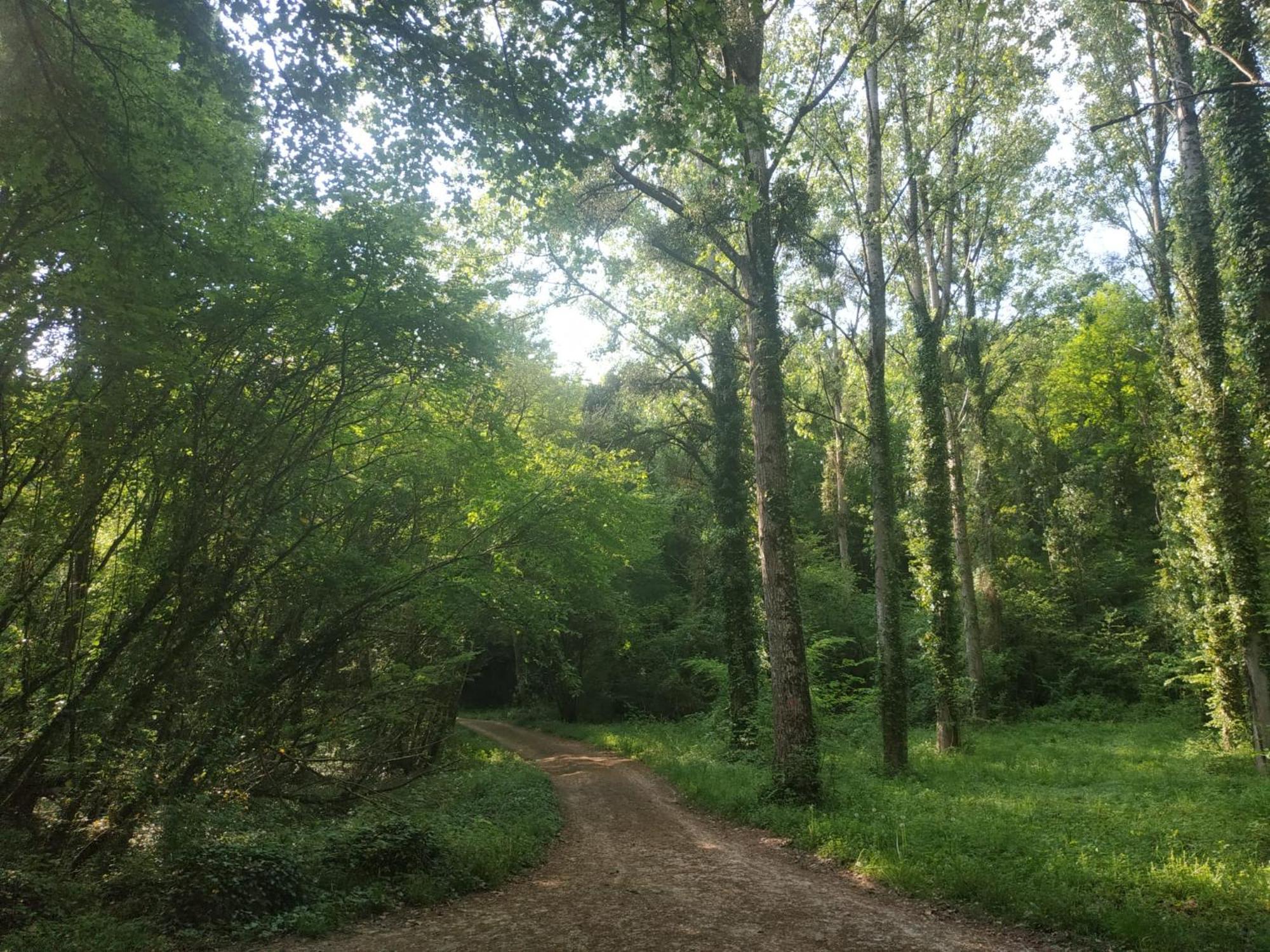 La Breteche, Gite Au Coeur Des Chateaux De La Loire Saint-Martin-le-Beau Esterno foto